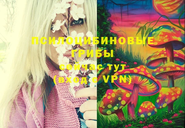 тгк Бежецк