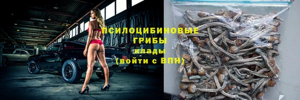 Альфа ПВП Нея