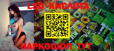 твердый Бийск