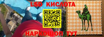 дживик Берёзовский
