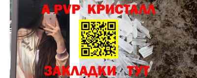 твердый Бийск