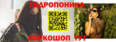 твердый Бийск