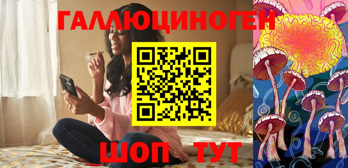 Псилоцибиновые грибы Psilocybe Кириши