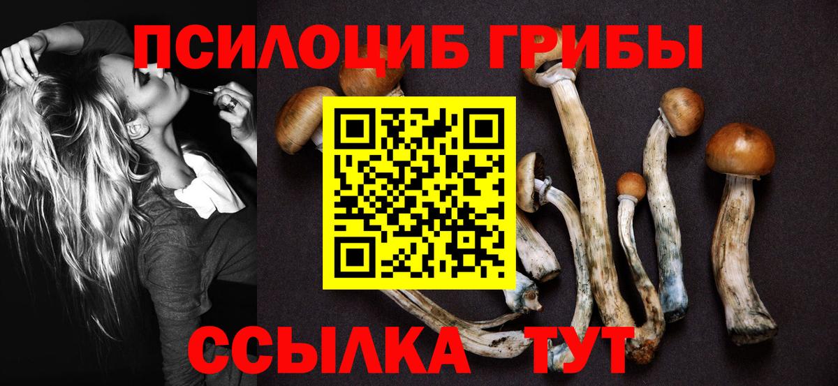 Галлюциногенные грибы Magic Shrooms  Вход с VPN  Кириши 